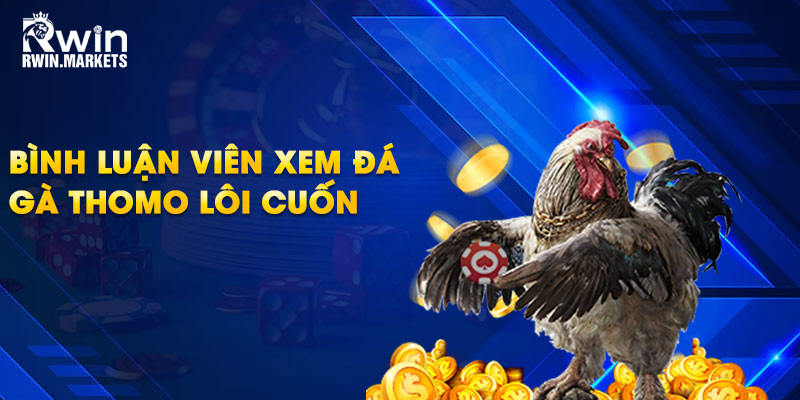 Bình luận viên xem đá gà Thomo lôi cuốn