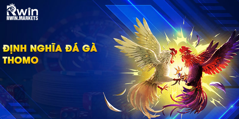 Định nghĩa đá gà Thomo