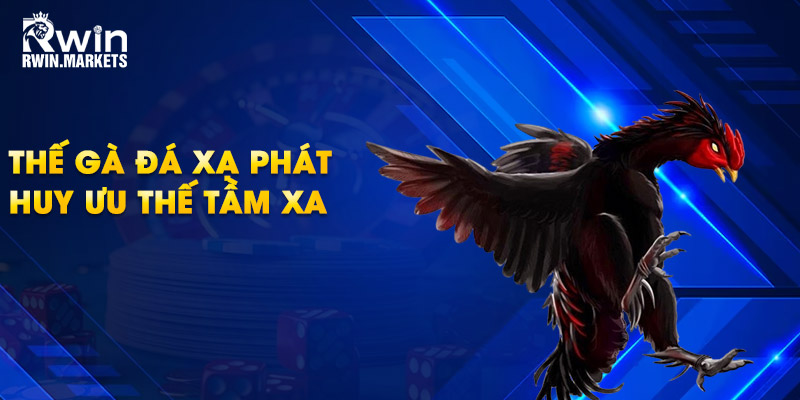 Thế gà đá xạ phát huy ưu thế tầm xa