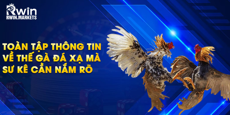 Thế gà đá xạ