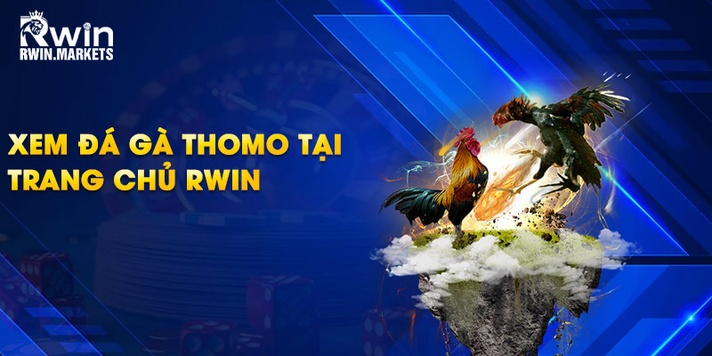 Xem đá gà Thomo tại trang chủ RWIN