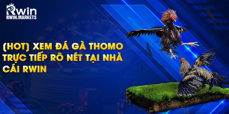 Xem đá gà Thomo